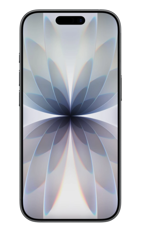 Apple iPhone 17 (Black, 256 GB) view 2