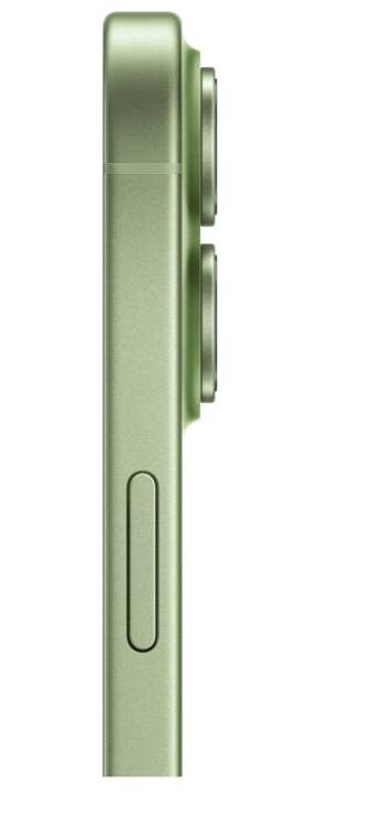 Apple iPhone 17 (Sage, 256 GB) view 4